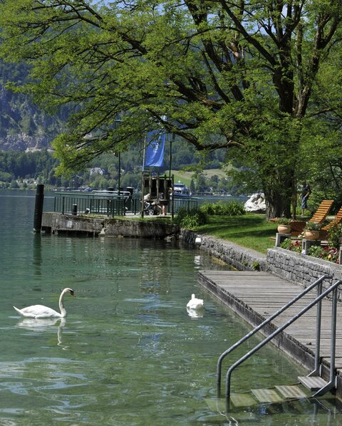 Schifffahrt im Urlaub am Wolfgangsee im Hotel Fürberg