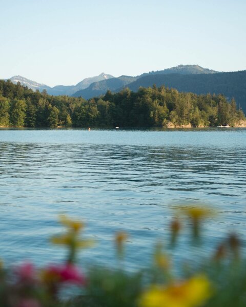 Wolfgangsee hotel - destination for the perfect vacation 