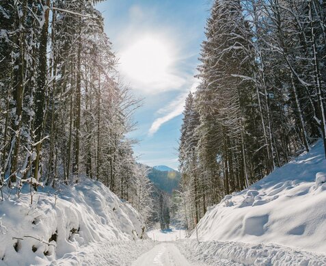 Wolfgangsee Hotels – Ihr Ziel für den perfekten Urlaub 