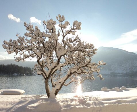 Wolfgangsee Hotels – Ihr Ziel für den perfekten Urlaub 