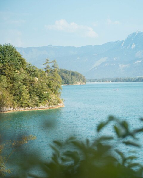 Hotel in the Fürberg bay: Discover lake Wolfgangsee