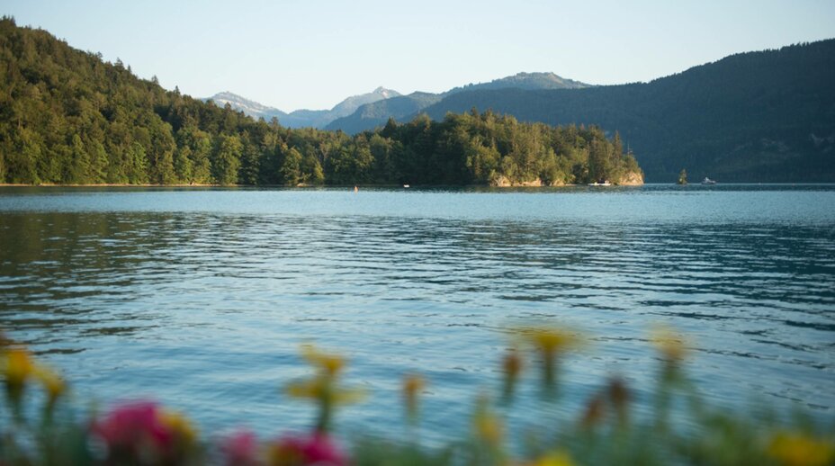 Best offers for your vacation at lake Wolfgangsee