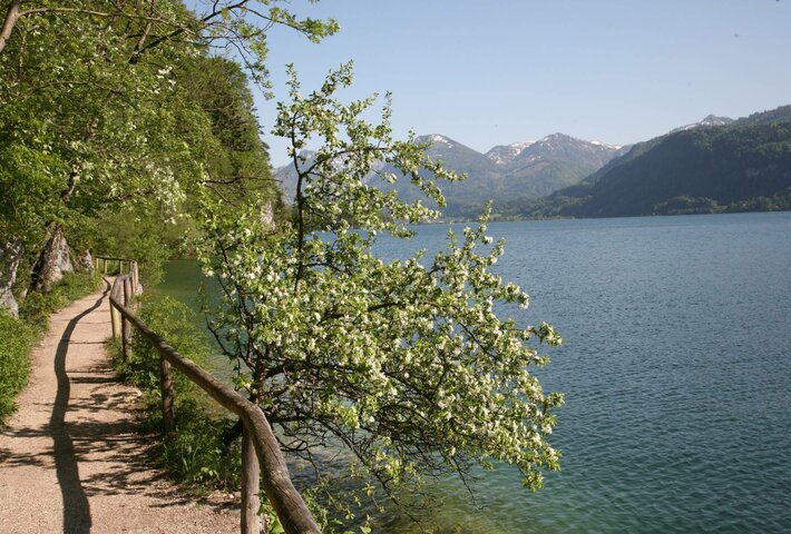 A week in the sign of fall / spring at Lake Wolfgangsee