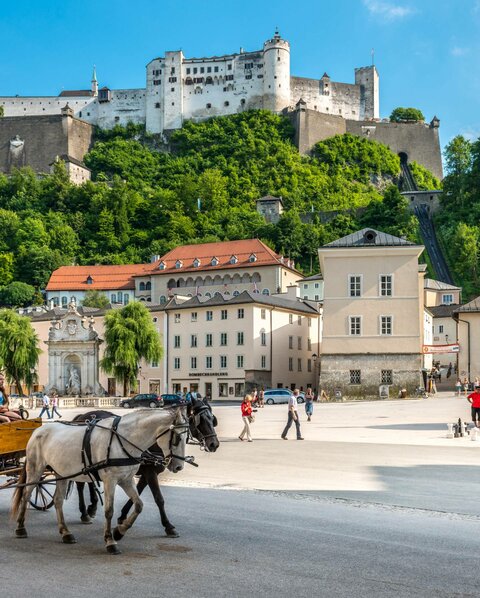 Urlaub nahe Salzburg und doch direkt im Hotel am See