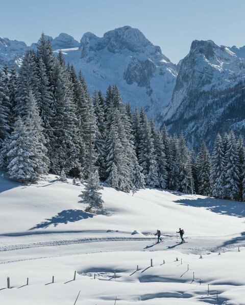 Hotel & Gasthof am Wolfgangsee: Aktivitäten in Fürberg