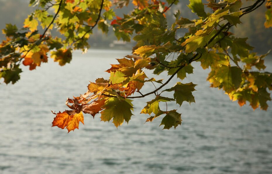 Autumn vacation at the lake, Salzkammergut, Wolfgangsee