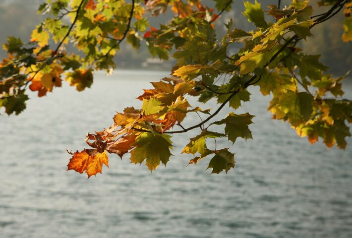 Autumn vacation at the lake, Salzkammergut, Wolfgangsee